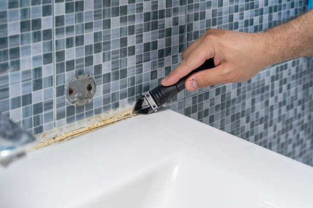 Best Preventive Mold Services in Saltillo, MS